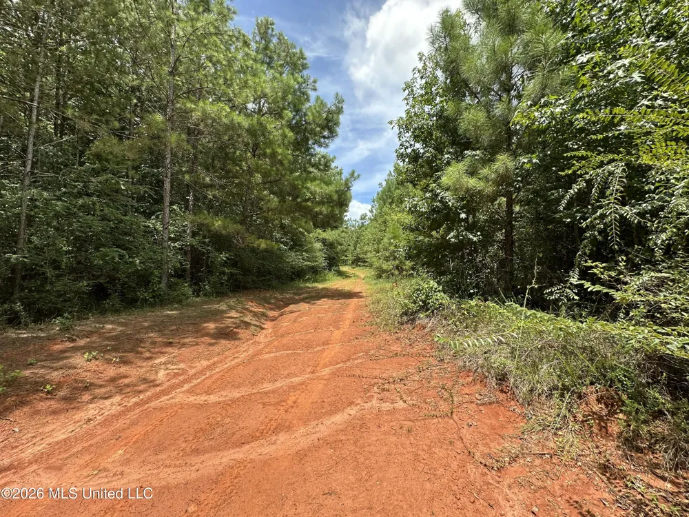 Smith County Road Raleigh, MS 39153