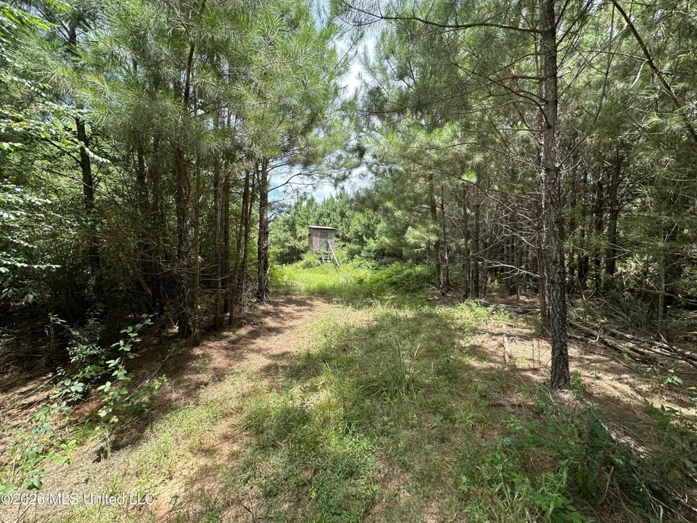 Smith County Road Raleigh, MS 39153