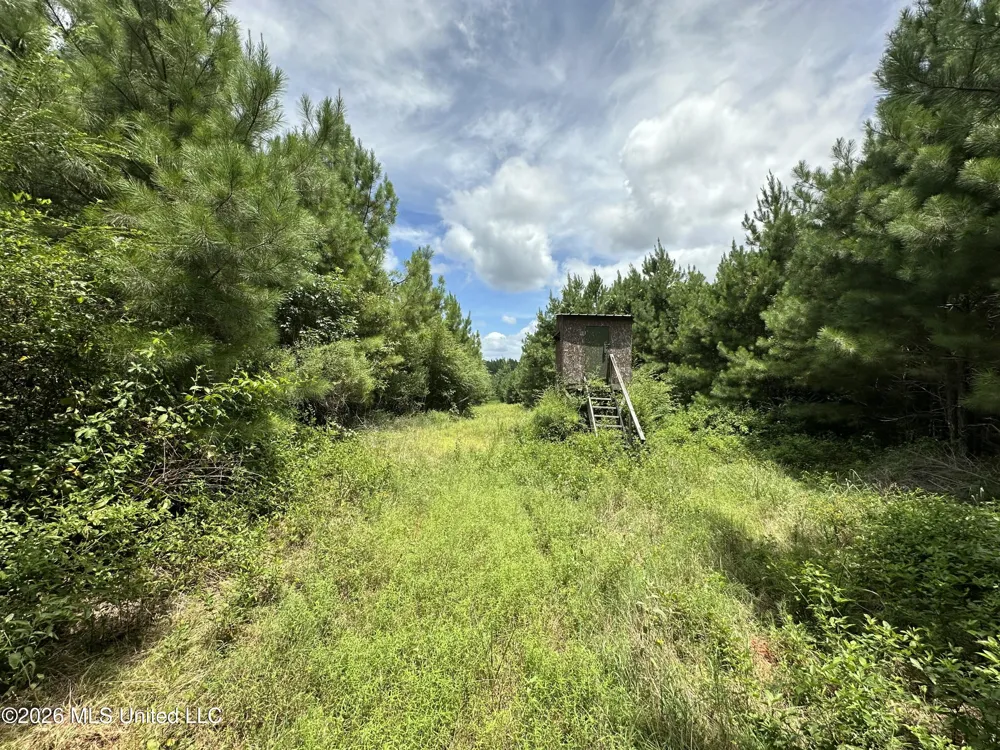 Smith County Road Raleigh, MS 39153