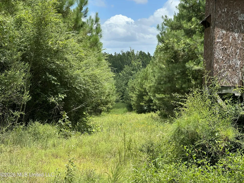 Smith County Road Raleigh, MS 39153