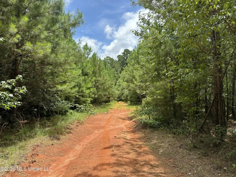 Smith County Road Raleigh, MS 39153