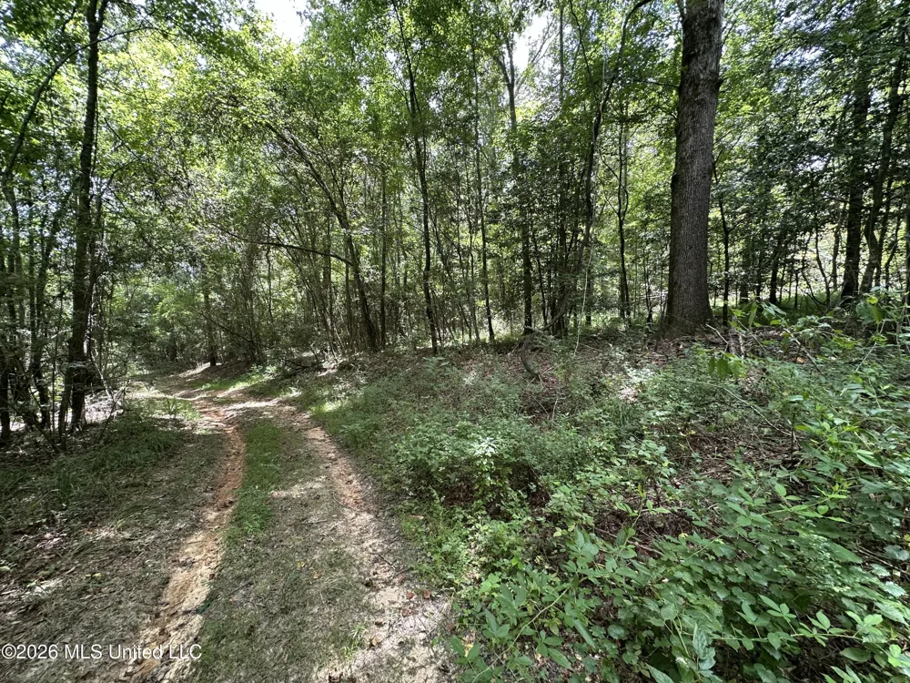 Smith County Road Raleigh, MS 39153