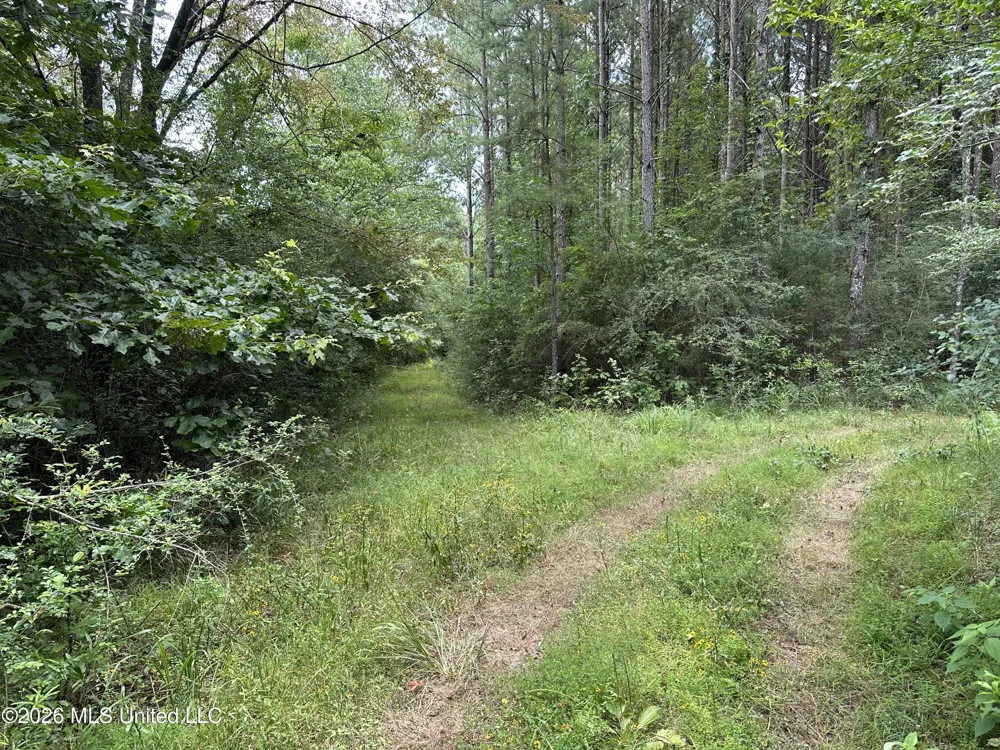 Smith County Road Raleigh, MS 39153