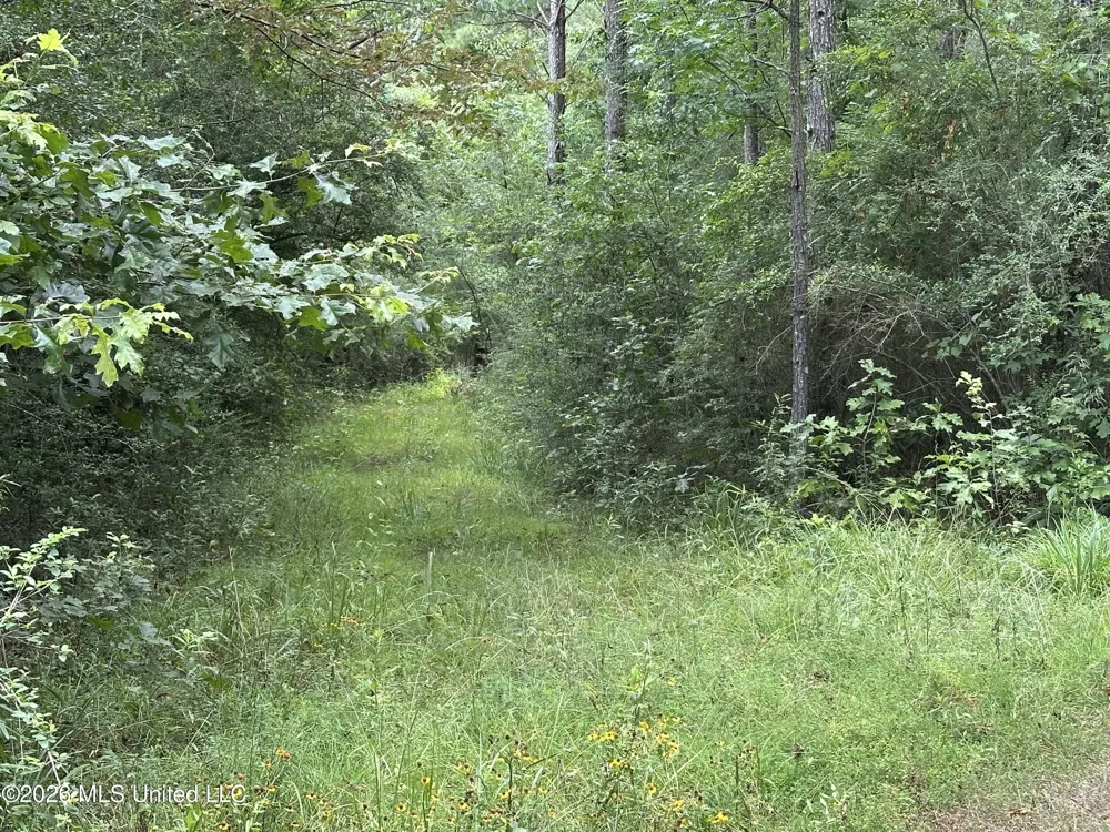 Smith County Road Raleigh, MS 39153
