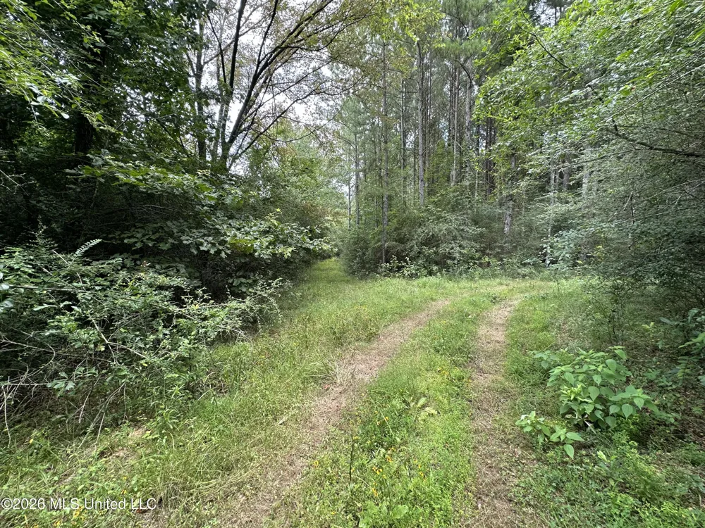 Smith County Road Raleigh, MS 39153