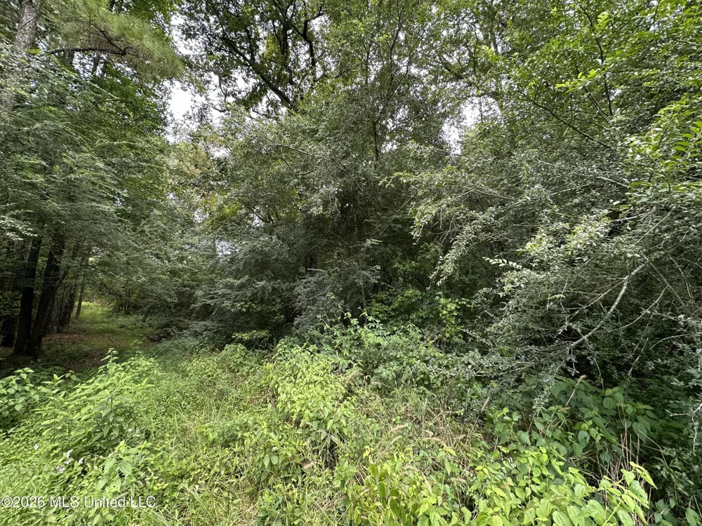 Smith County Road Raleigh, MS 39153
