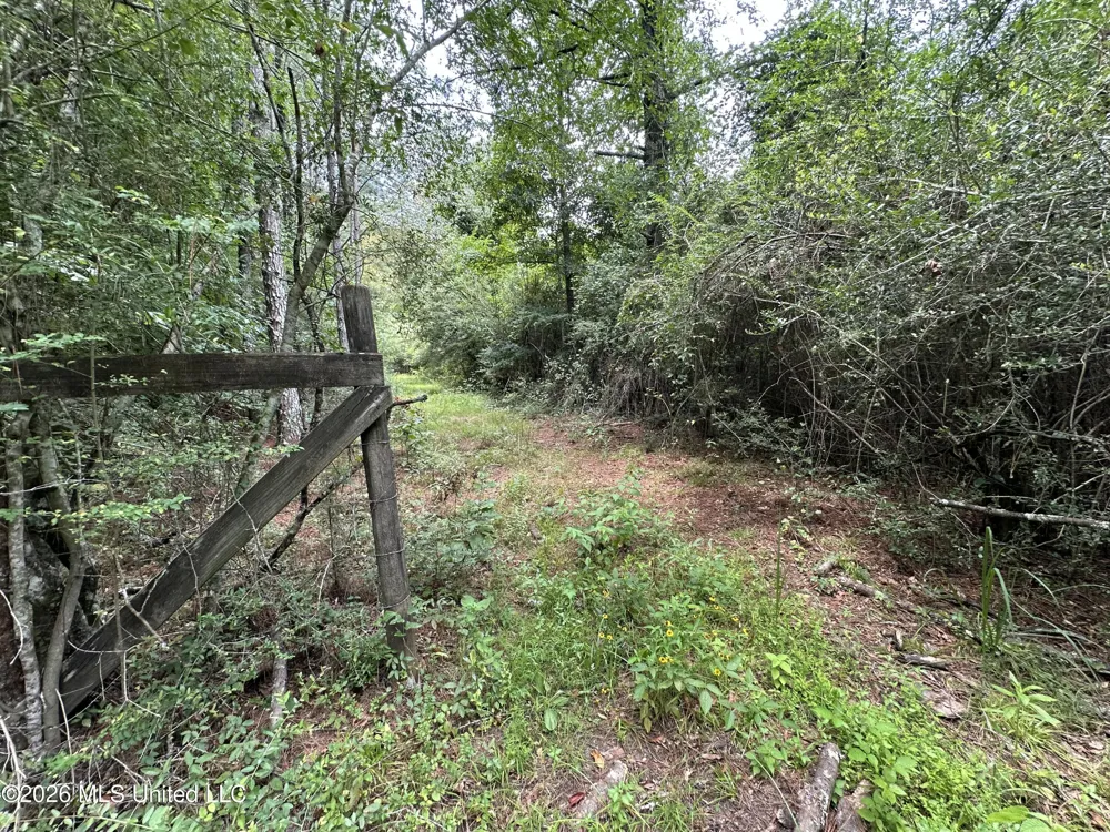 Smith County Road Raleigh, MS 39153