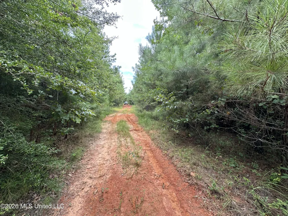 Smith County Road Raleigh, MS 39153