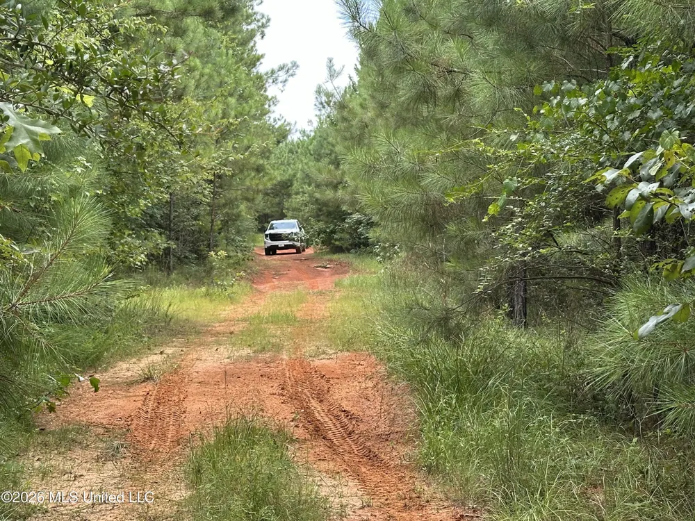 Smith County Road Raleigh, MS 39153