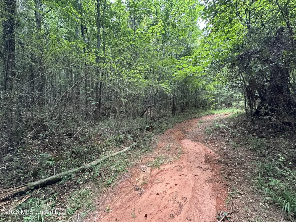 Smith County Road Raleigh, MS 39153