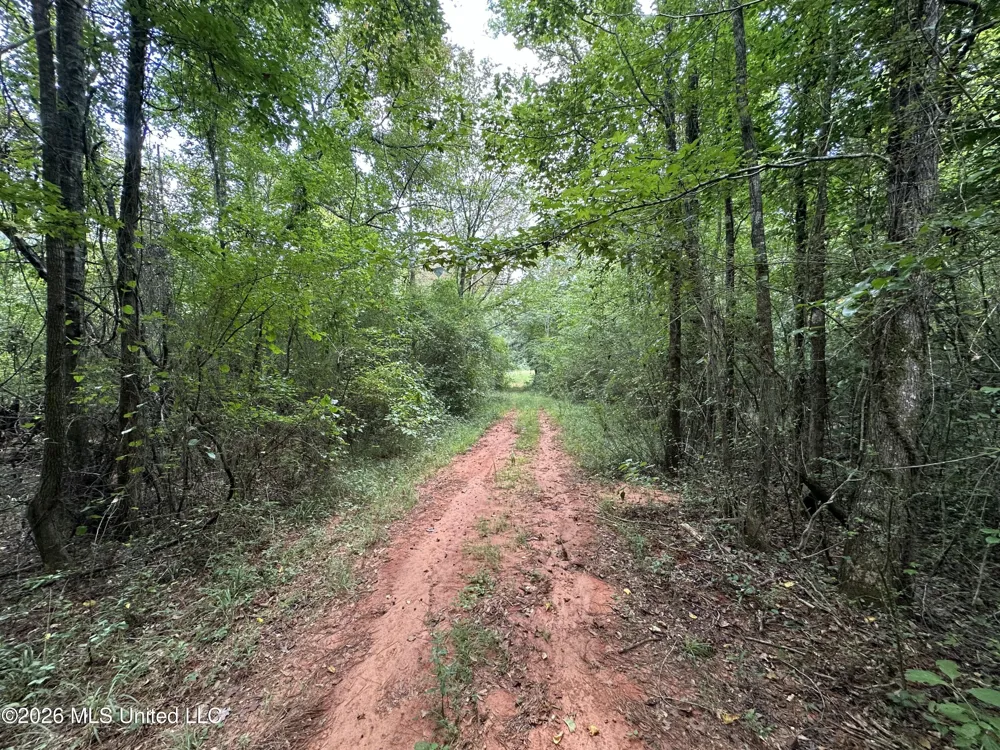 Smith County Road Raleigh, MS 39153