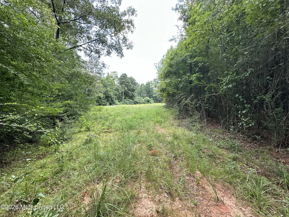 Smith County Road Raleigh, MS 39153