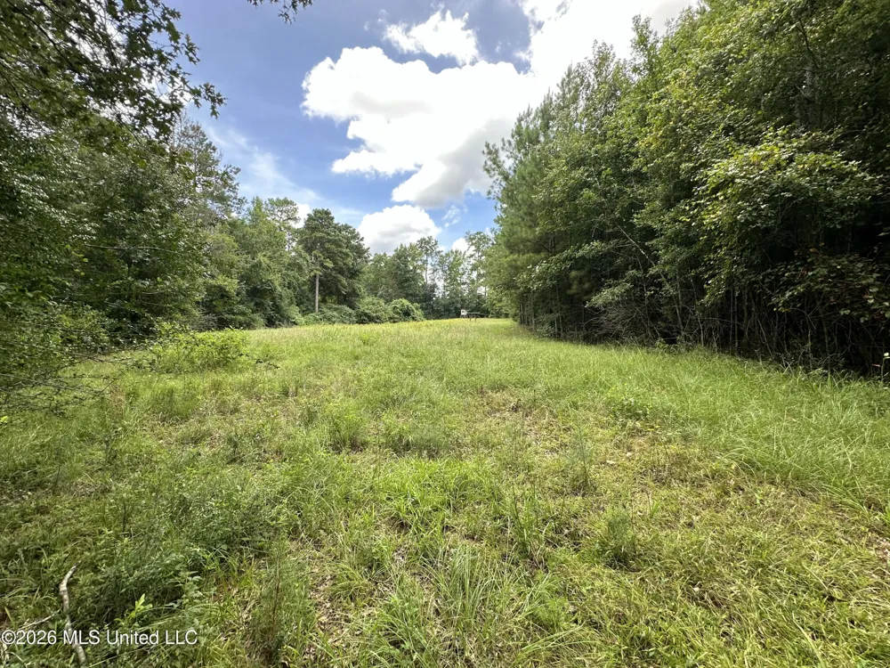 Smith County Road Raleigh, MS 39153
