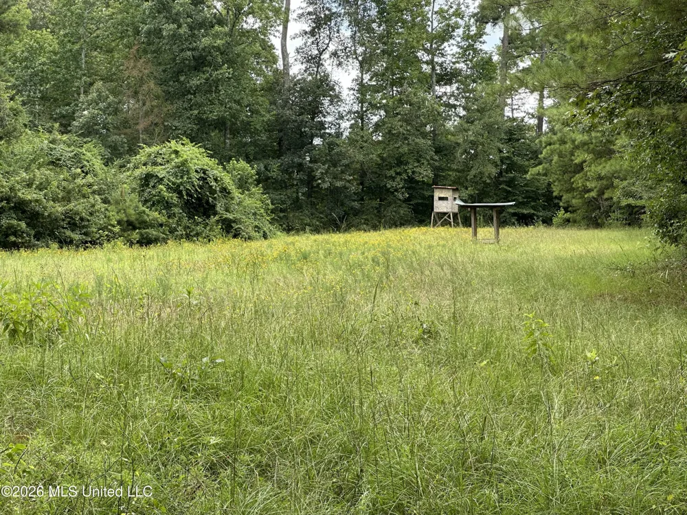 Smith County Road Raleigh, MS 39153
