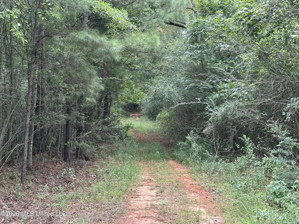 Smith County Road Raleigh, MS 39153
