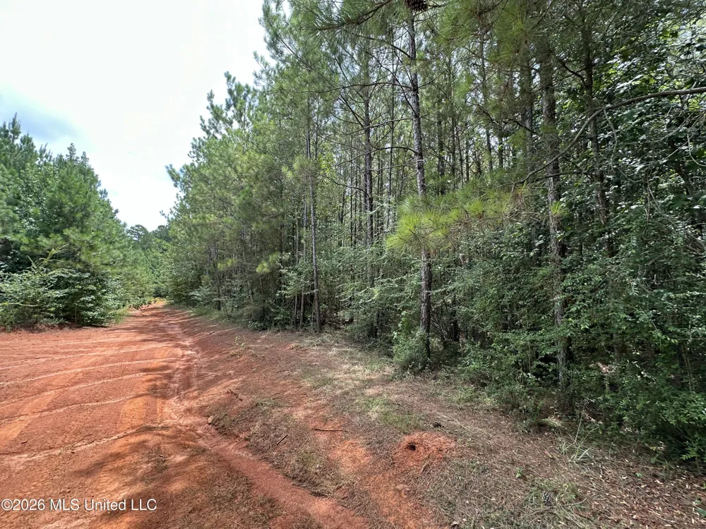 Smith County Road Raleigh, MS 39153