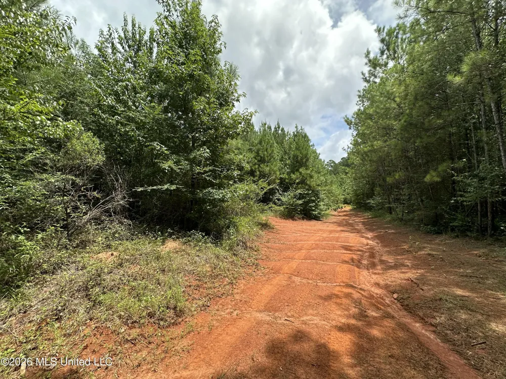 Smith County Road Raleigh, MS 39153