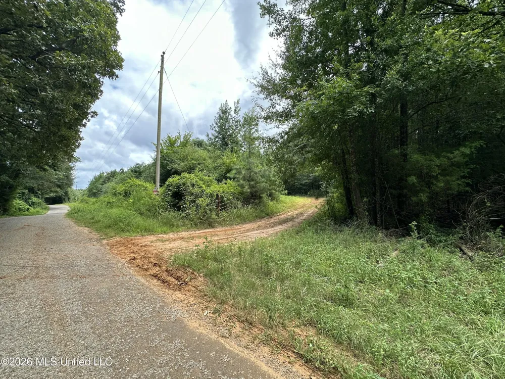Smith County Road Raleigh, MS 39153