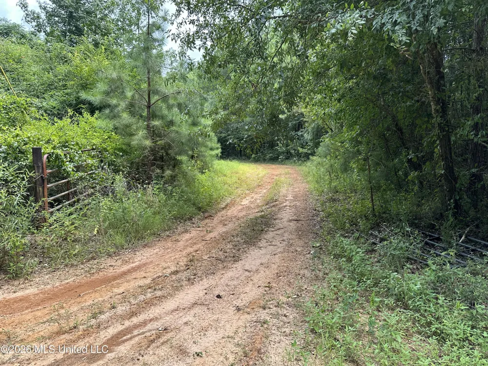 Smith County Road Raleigh, MS 39153