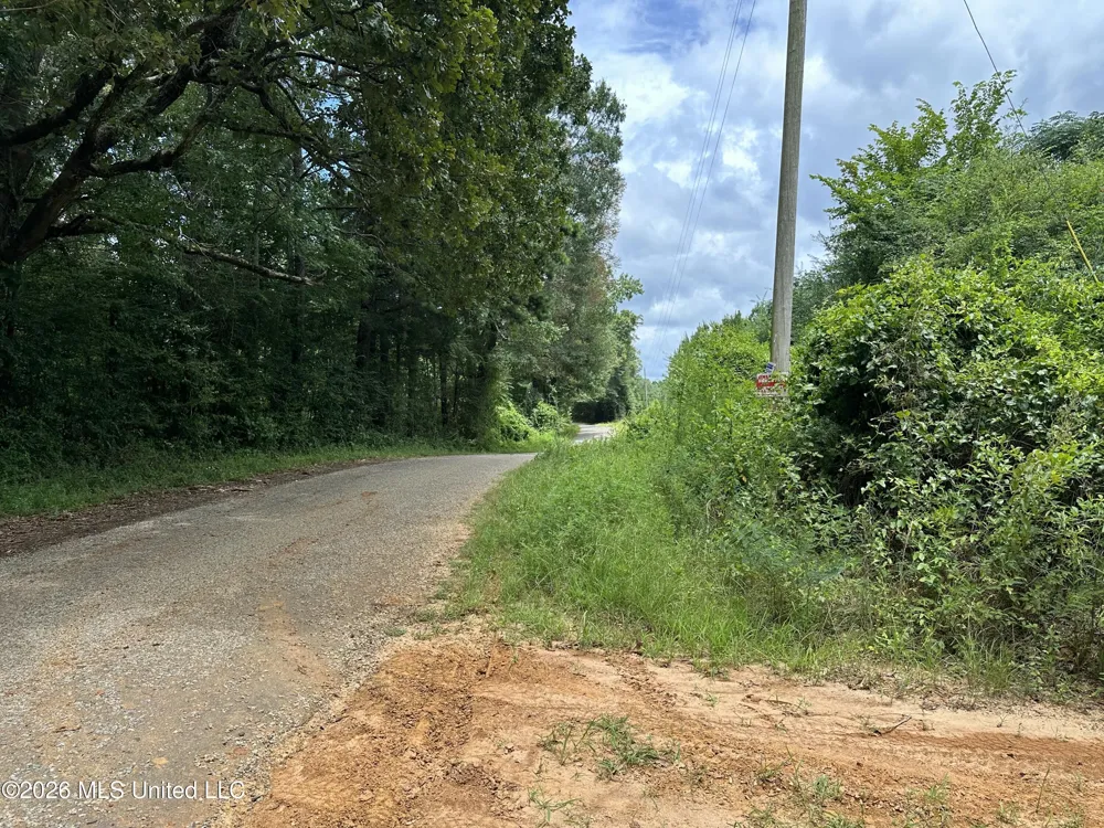 Smith County Road Raleigh, MS 39153