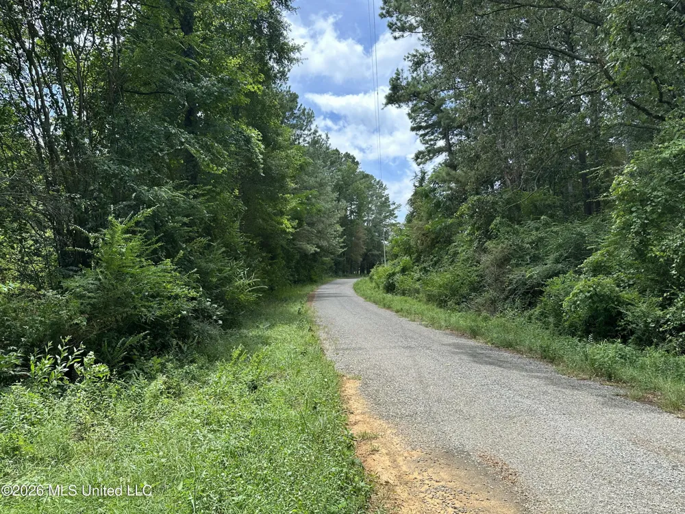 Smith County Road Raleigh, MS 39153