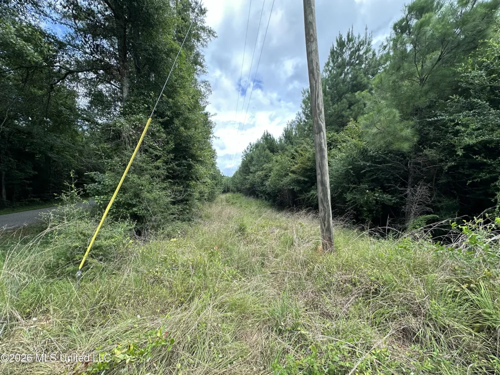 Smith County Road Raleigh, MS 39153