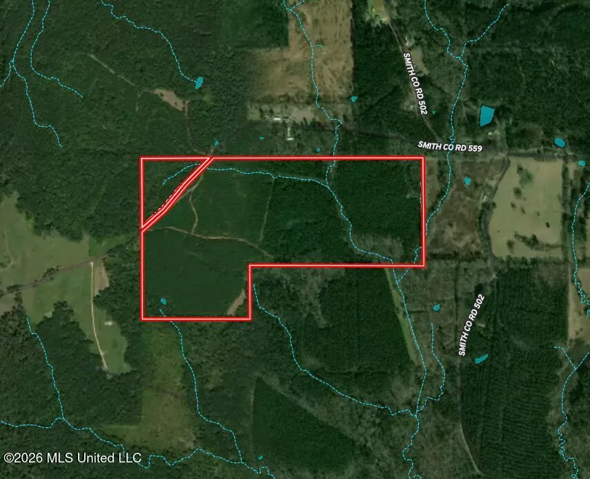Smith County Road Raleigh, MS 39153