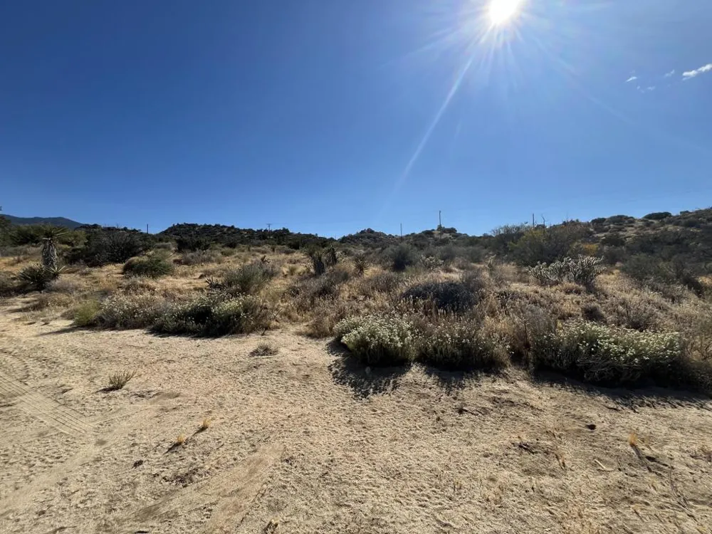 61567 Sun Terrace Mountain Center, CA 92561