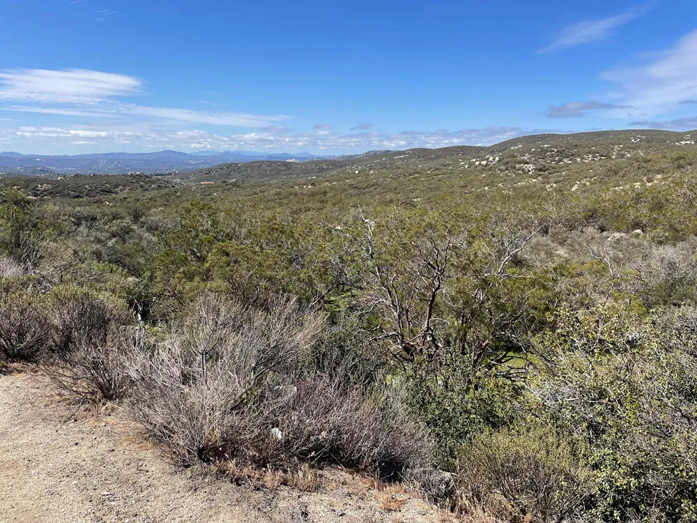 61567 Sun Terrace Mountain Center, CA 92561
