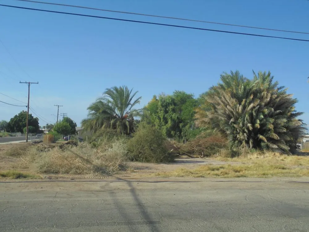 Solano Avenue Blythe, CA 92225