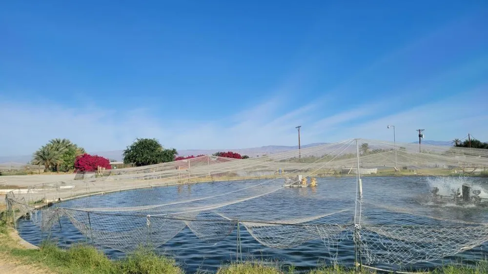 89635 81st Avenue Thermal, CA 92274