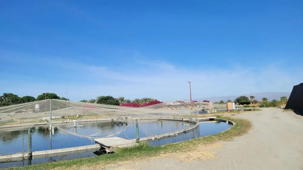 89635 81st Avenue Thermal, CA 92274