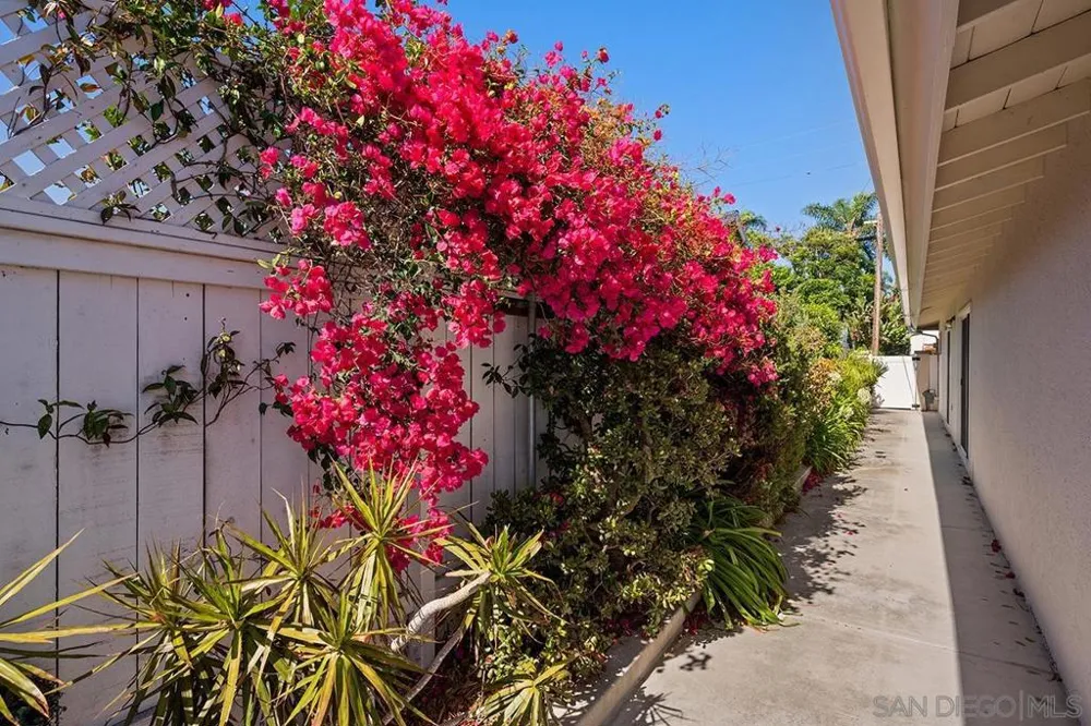 5942 Sagebrush Rd La Jolla, CA 92037