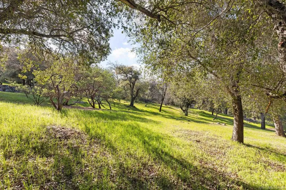 3591 Deer Lake Park Rd Julian, CA 92036