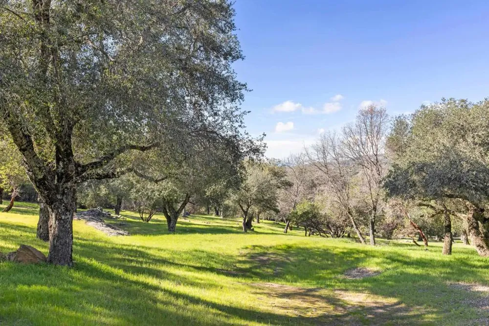 3591 Deer Lake Park Rd Julian, CA 92036