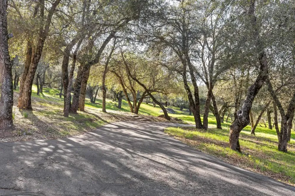 3591 Deer Lake Park Rd Julian, CA 92036