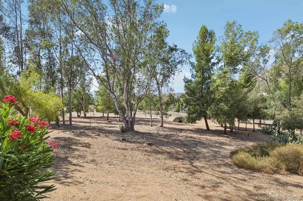 15834 Davis Cup Ln Ramona, CA 92065