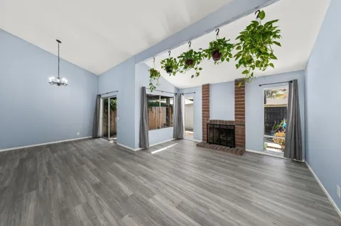 2147 Citrus Tree