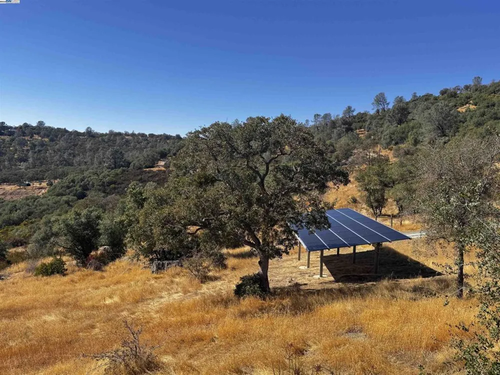 2280 Roan Rd Angels Camp, CA 95222