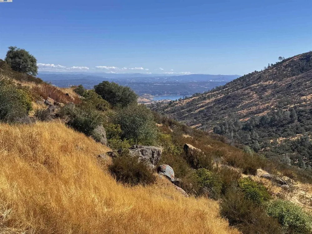 2280 Roan Rd Angels Camp, CA 95222