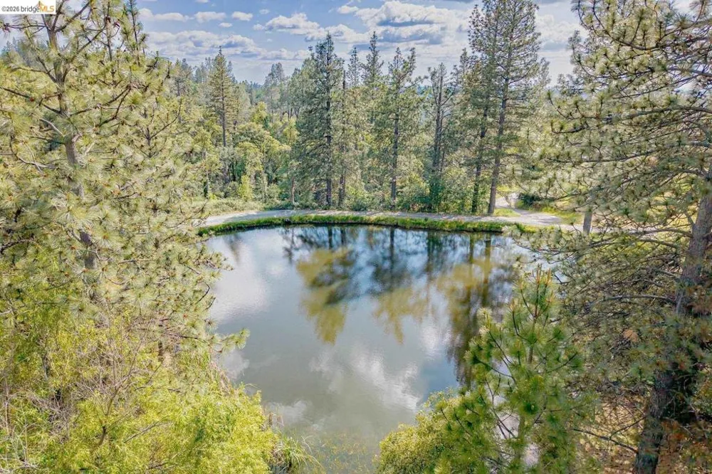 1750 Sliger Mine RD Greenwood, CA 95635