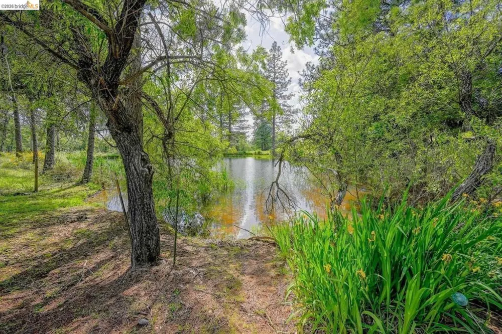 1750 Sliger Mine RD Greenwood, CA 95635