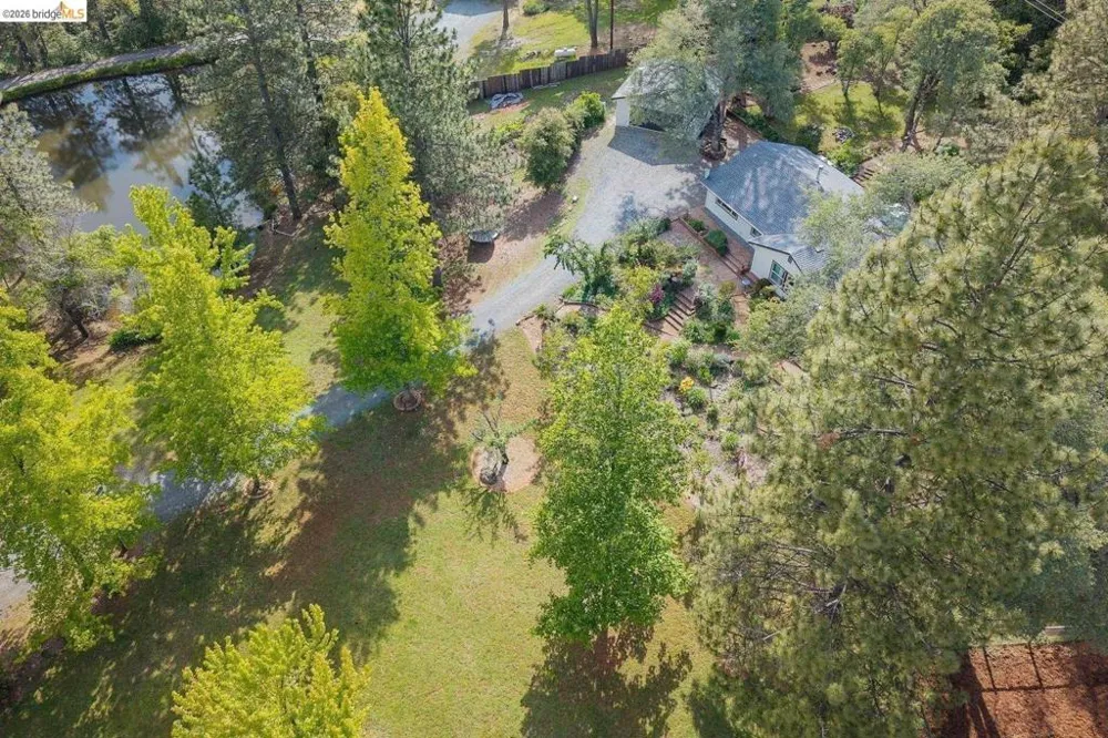 1750 Sliger Mine RD Greenwood, CA 95635