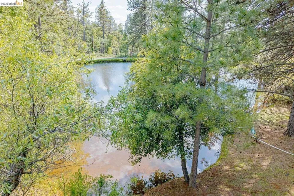 1750 Sliger Mine RD Greenwood, CA 95635