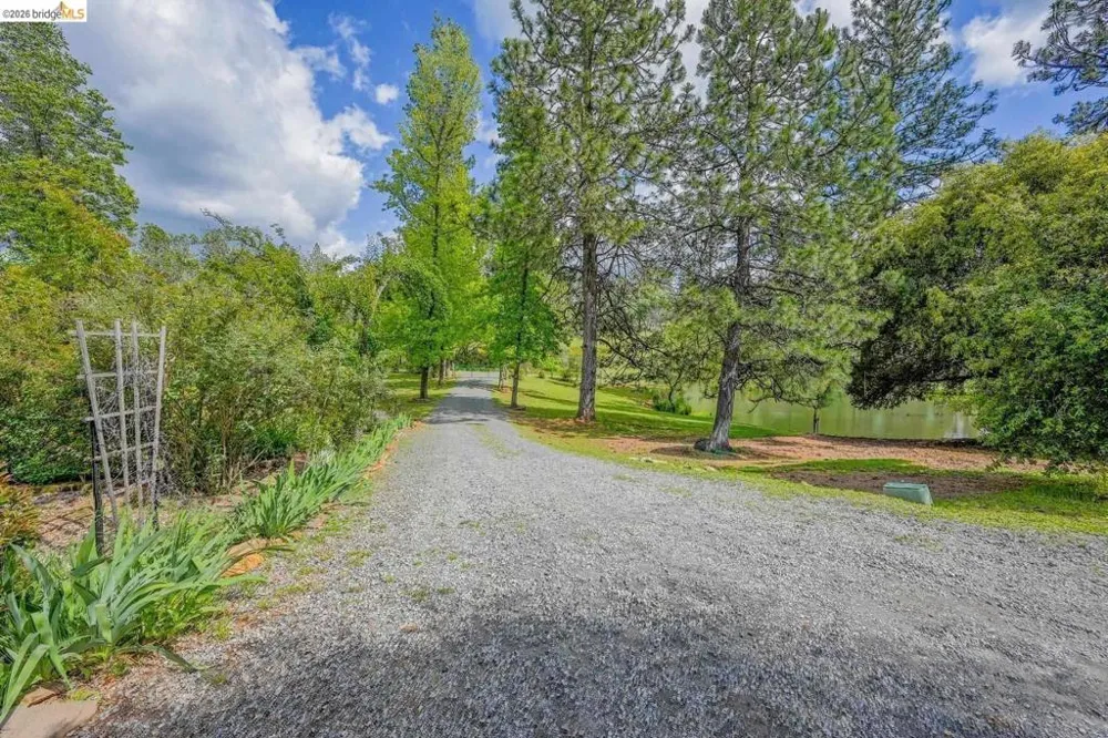 1750 Sliger Mine RD Greenwood, CA 95635
