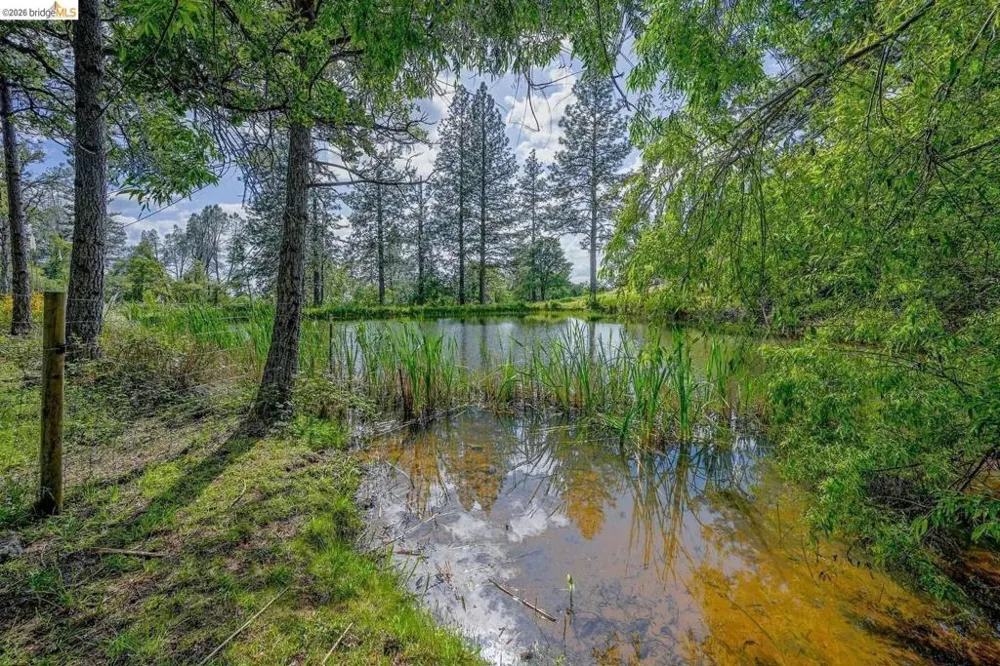 1750 Sliger Mine RD Greenwood, CA 95635