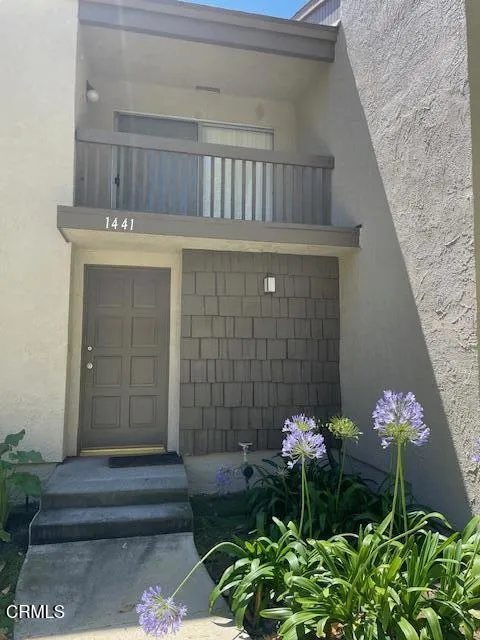 1441 Iguana Circle