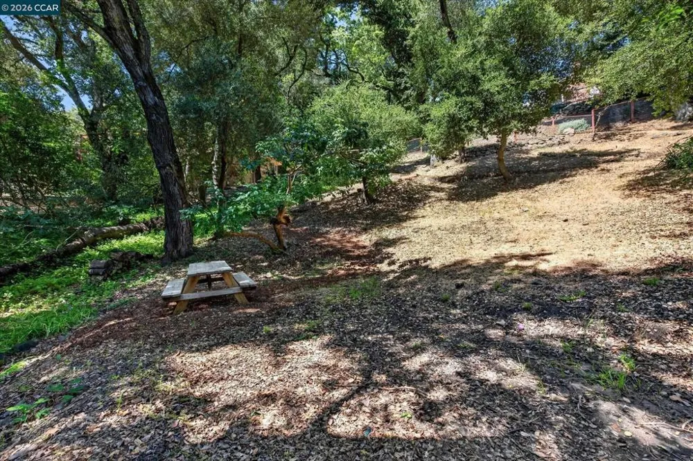 43 Monte Vista Rd Orinda, CA 94563