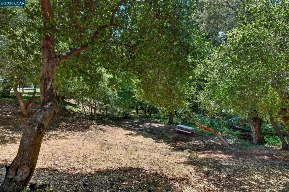 43 Monte Vista Rd Orinda, CA 94563