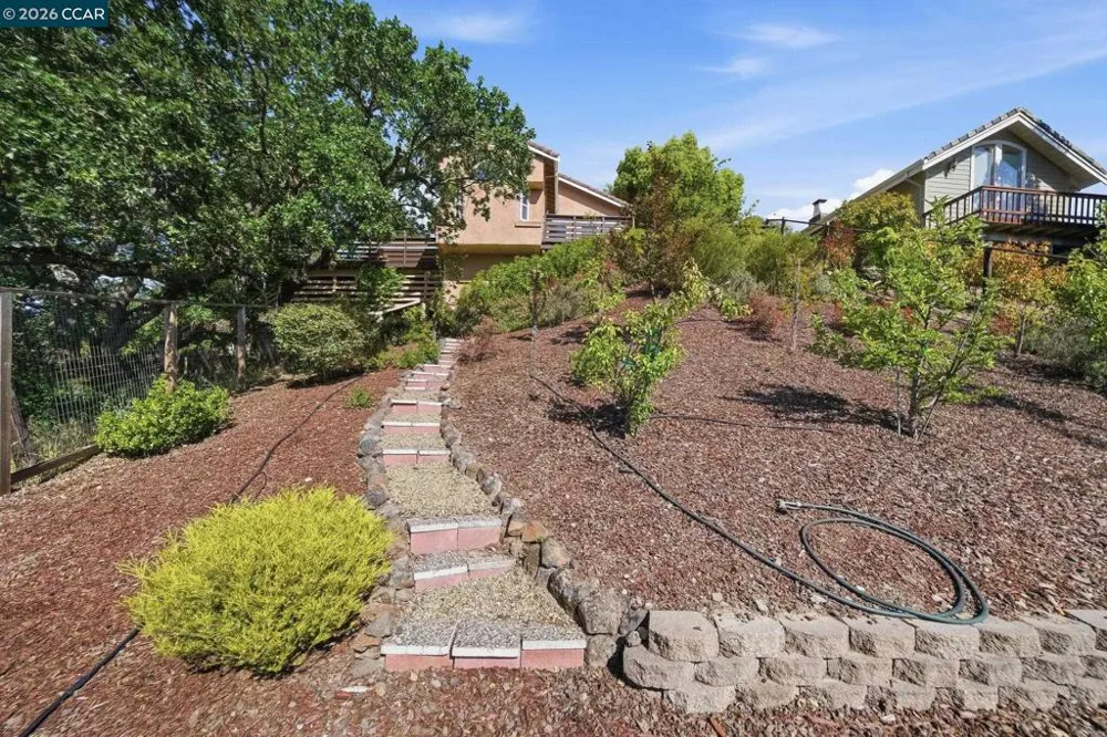 2426 Heritage Oaks Dr Alamo, CA 94507